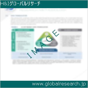 グローバルリサーチ調査レポートのイメージ